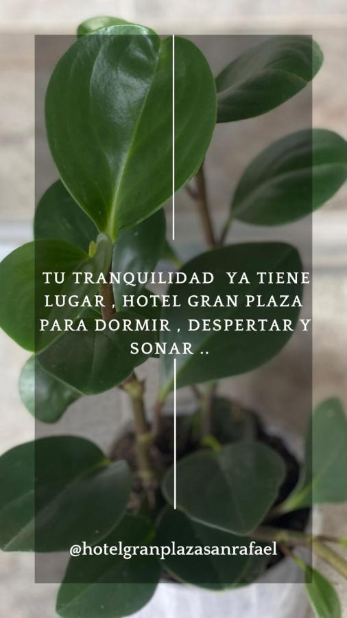 Hotel Gran Plaza San Rafael سان رافائيل المظهر الخارجي الصورة